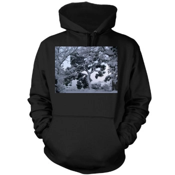 Botanical Gardens Mens Pullover Hoodie Sweatshirt