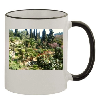 Botanical Gardens 11oz Colored Rim & Handle Mug