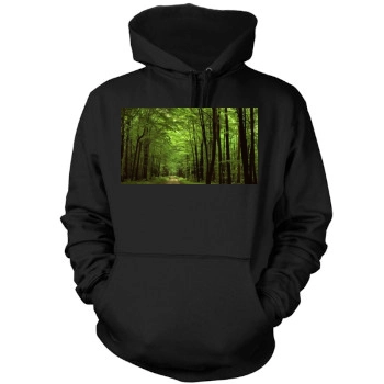 Botanical Gardens Mens Pullover Hoodie Sweatshirt