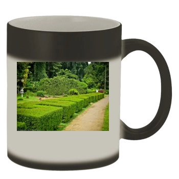 Botanical Gardens Color Changing Mug