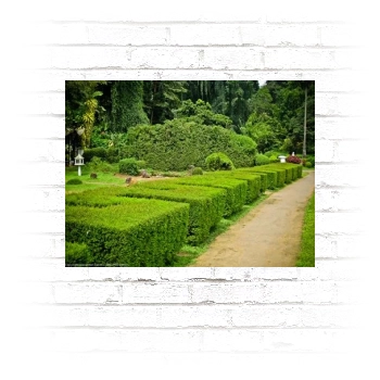 Botanical Gardens Poster