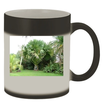 Botanical Gardens Color Changing Mug