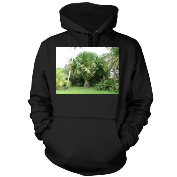 Botanical Gardens Mens Pullover Hoodie Sweatshirt