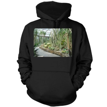 Botanical Gardens Mens Pullover Hoodie Sweatshirt