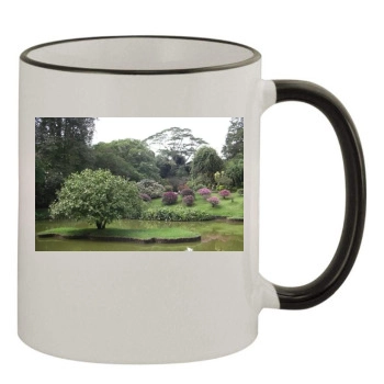 Botanical Gardens 11oz Colored Rim & Handle Mug