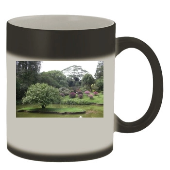 Botanical Gardens Color Changing Mug