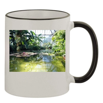 Botanical Gardens 11oz Colored Rim & Handle Mug