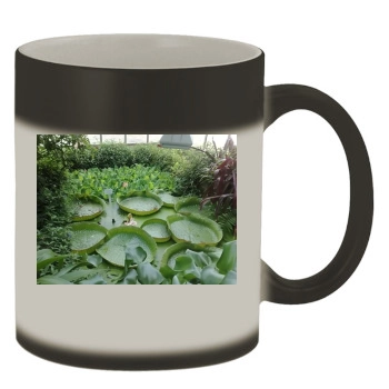 Botanical Gardens Color Changing Mug