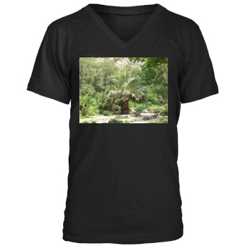 Botanical Gardens Men's V-Neck T-Shirt