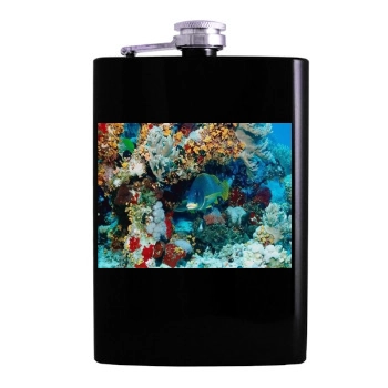 Underwater World Hip Flask