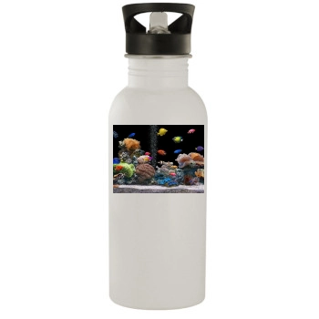 Underwater World Stainless Steel Water Bottle