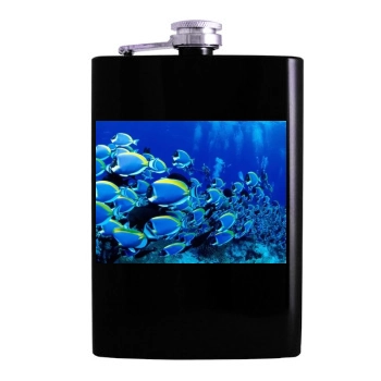 Underwater World Hip Flask