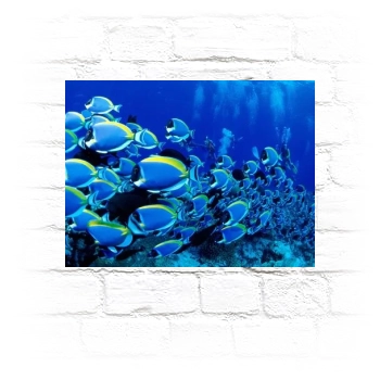 Underwater World Metal Wall Art