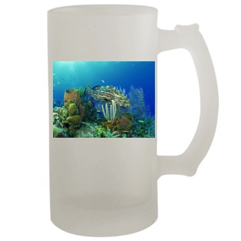 Underwater World 16oz Frosted Beer Stein