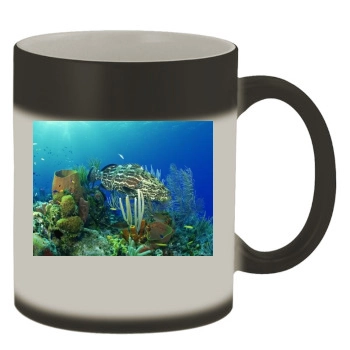 Underwater World Color Changing Mug