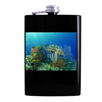 Underwater World Hip Flask