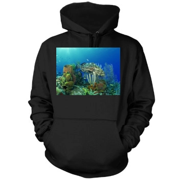 Underwater World Mens Pullover Hoodie Sweatshirt