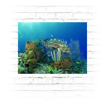 Underwater World Poster