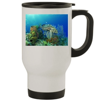 Underwater World Stainless Steel Travel Mug