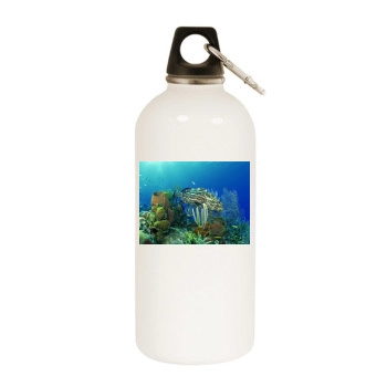 Underwater World White Water Bottle With Carabiner