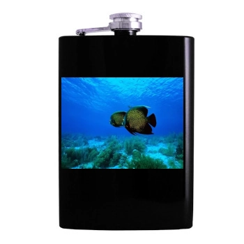 Underwater World Hip Flask