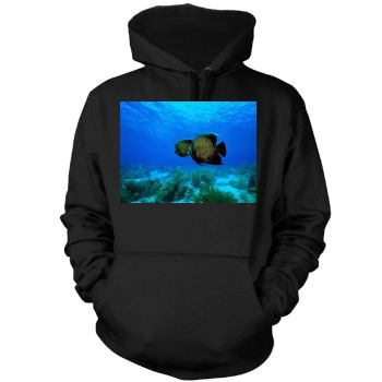 Underwater World Mens Pullover Hoodie Sweatshirt