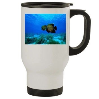 Underwater World Stainless Steel Travel Mug