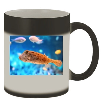 Underwater World Color Changing Mug