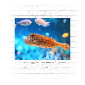 Underwater World Poster