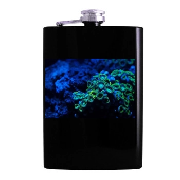 Underwater World Hip Flask