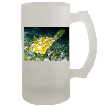 Underwater World 16oz Frosted Beer Stein