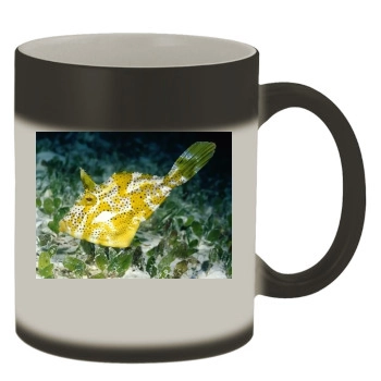 Underwater World Color Changing Mug