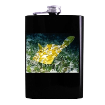 Underwater World Hip Flask