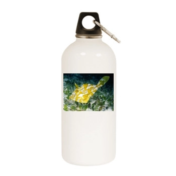 Underwater World White Water Bottle With Carabiner