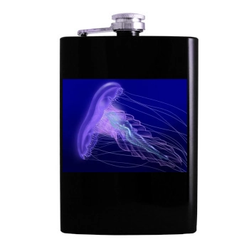 Underwater World Hip Flask