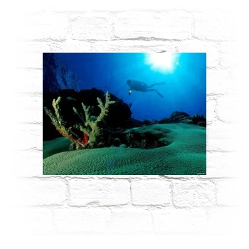 Underwater World Metal Wall Art