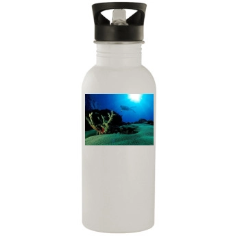 Underwater World Stainless Steel Water Bottle