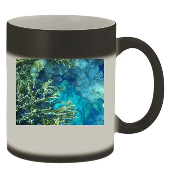 Underwater World Color Changing Mug