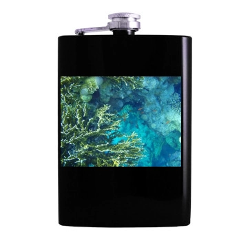 Underwater World Hip Flask