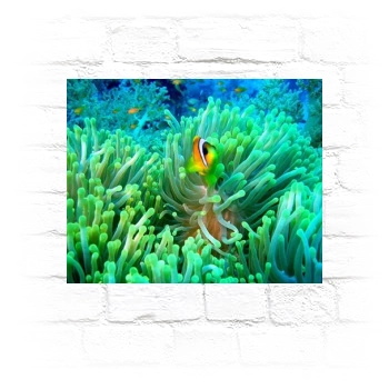 Underwater World Metal Wall Art