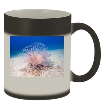 Underwater World Color Changing Mug