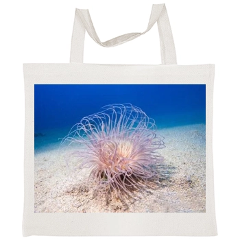 Underwater World Tote