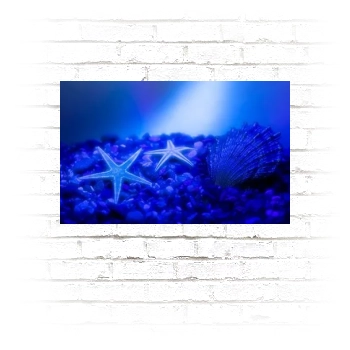 Underwater World Poster