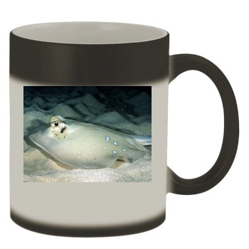 Underwater World Color Changing Mug