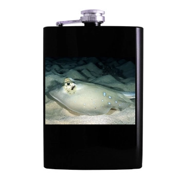 Underwater World Hip Flask