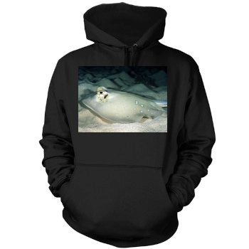 Underwater World Mens Pullover Hoodie Sweatshirt