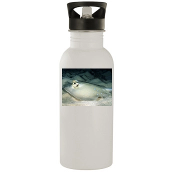 Underwater World Stainless Steel Water Bottle