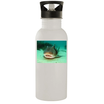 Underwater World Stainless Steel Water Bottle