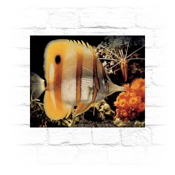 Underwater World Metal Wall Art