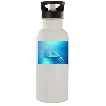 Underwater World Stainless Steel Water Bottle